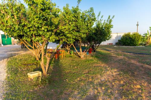 Agriturismo Biologico Sant'Andrea