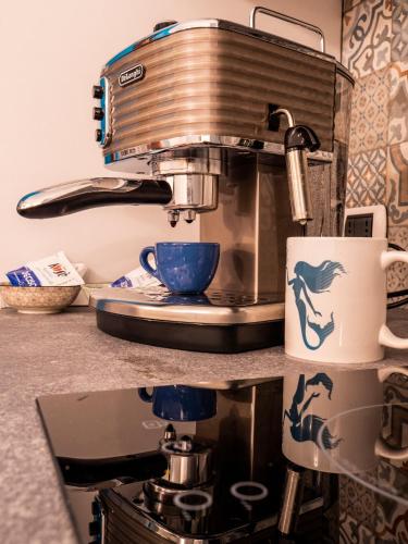 B&B Cosmoneapolitan - image 4