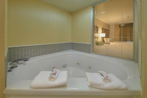 Bathroom, Vacation Lodge in Pigeon Forge (TN)
