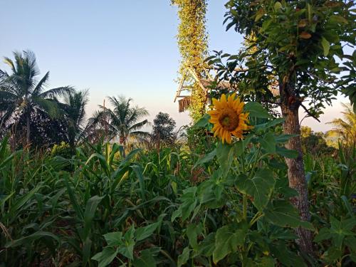 Mudung Keramat Homestay