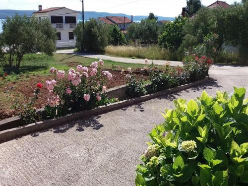  Apartment Mare - large terrace in Dobropoljana