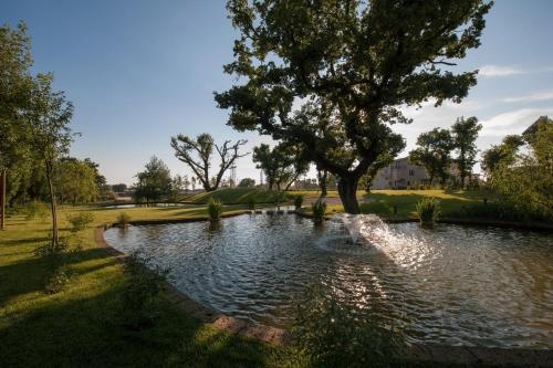 L' Araba Fenice Hotel & Resort - image 9