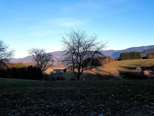 modernes Appartement Schwarzwald Nähe Freiburg