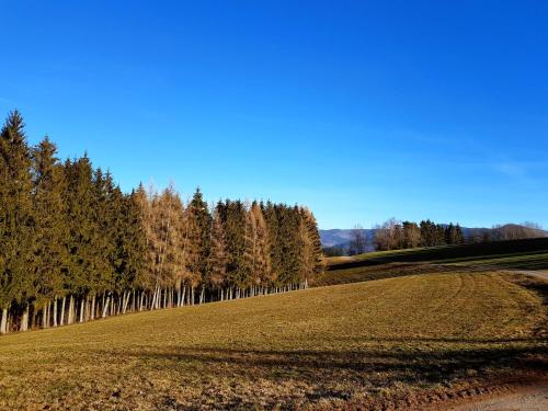 modernes Appartement Schwarzwald Nähe Freiburg