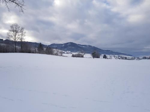 modernes Appartement Schwarzwald Nähe Freiburg