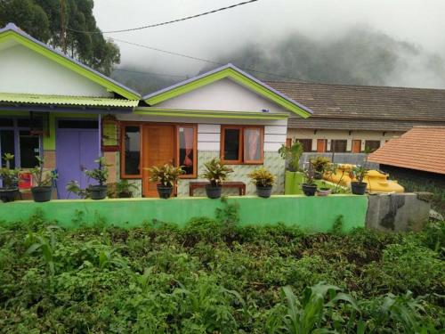 Homestay Angel Gunung Bromo
