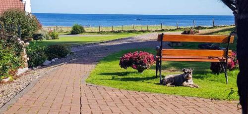 Mill Of Nethermill Holidays - image 2