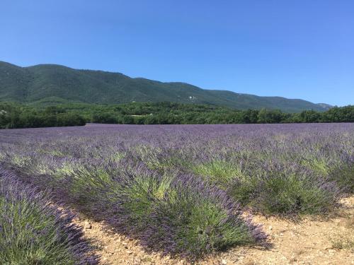 Domaine de la Bastidonne