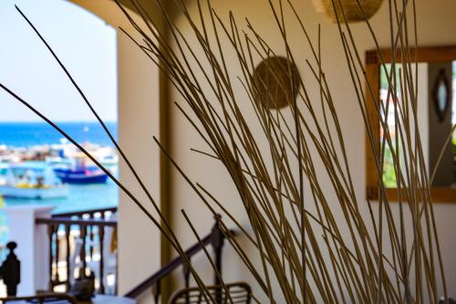 Sunrise Hotel - image 4