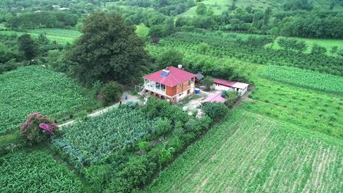 Guesthouse Kamelia in Martvili