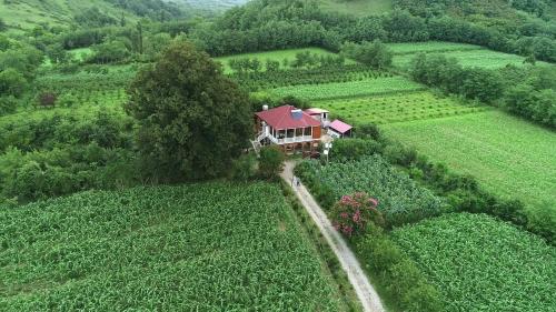 Guesthouse Kamelia in Martvili