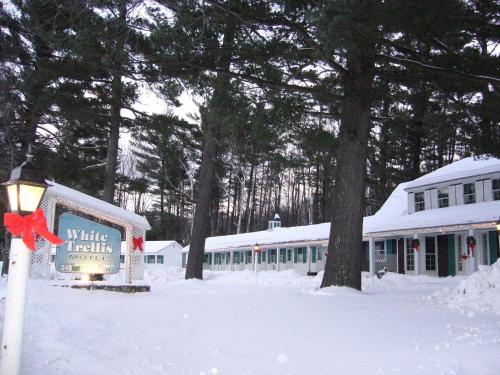 White Trellis Motel