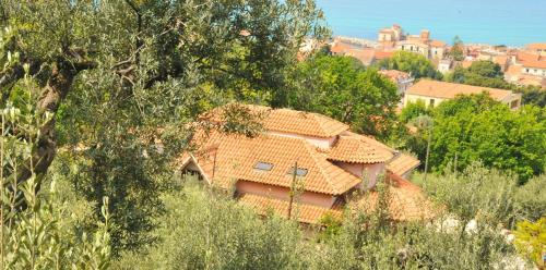 Dimora Acqua del Fico - Accommodation - Castellabate