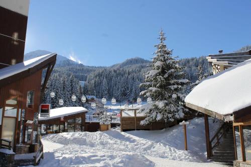 Residence Grand Bois A1118 Cles Blanches in La Tania