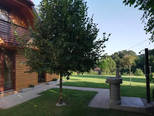 Brunarica Lorentia in 比澤利斯哥