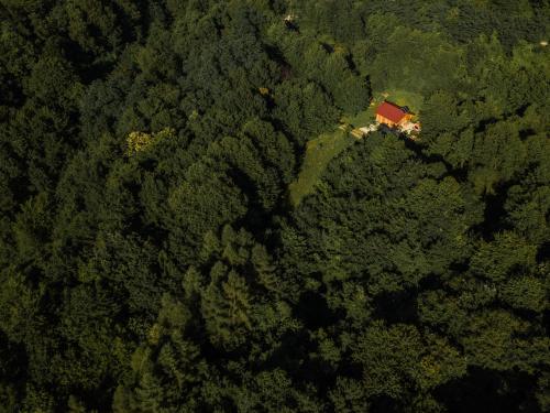  Holiday house Mala Vila Iva in Prigorec