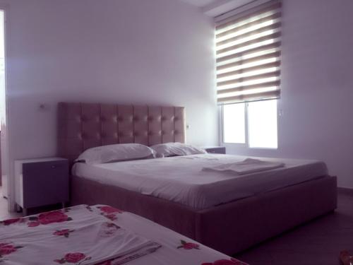 Eral apartament - image 6
