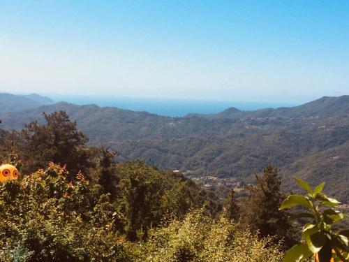 Locanda del Sale Affittacamere in Orero