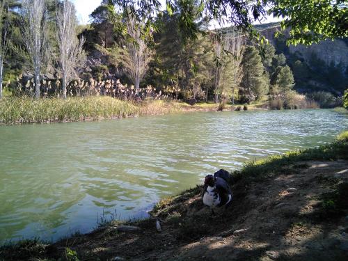  Adosado, cerca de Valencia en zona de montaña y playa fluvial, Pension in Valencia bei Gestalgar