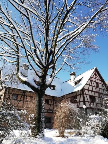 Hostel Feldkirch in Feldkirch