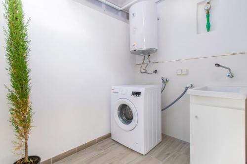 Apartamento LAUET - image 12