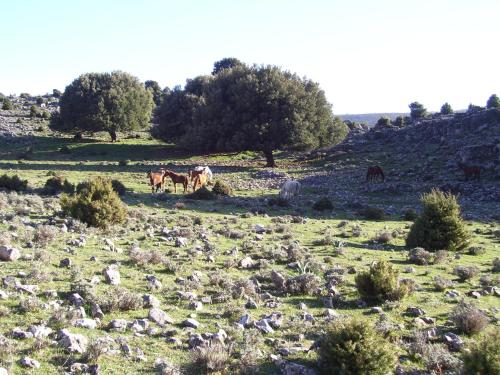 Agriturismo Didone