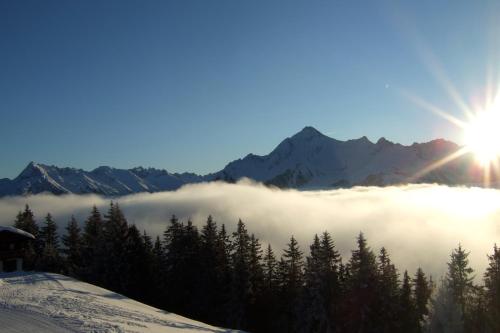 Chalet Schnee - image 4