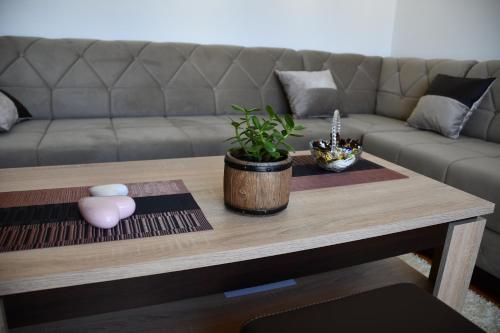 Apartman Vesna - image 6