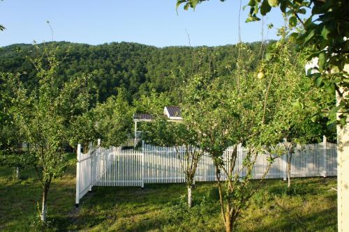 Our Garden