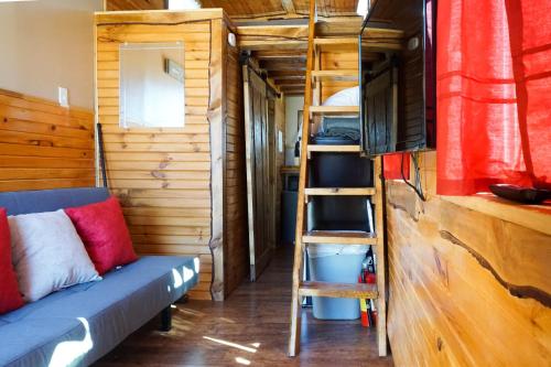 Tiny House Leadville Colorado