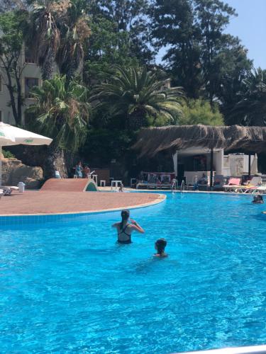 Tilkicik Yali Daireleri Club Flipper Yalikavak Bodrum In Bodrum City Turkey Reviews Prices Planet Of Hotels