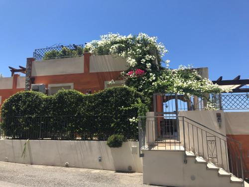 casa norvegese in Pizzo