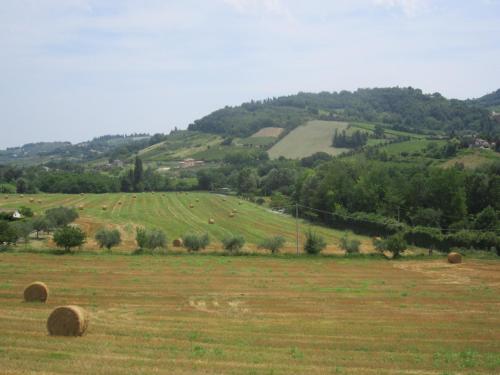 Fattoria Bertaccini 5