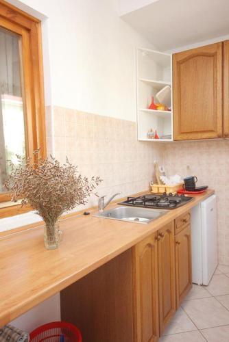 Apartments by the sea Dinjiska Pag - 9386 - image 6