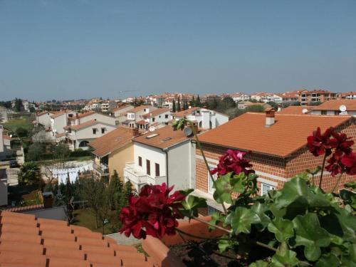 Apartments with a parking space Rovinj - 9702 - image 3