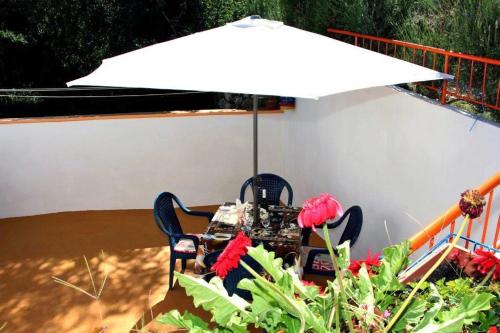 Apartments by the sea Tisno, Murter - 4298