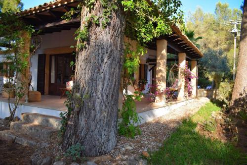 Trevol Bon Aire Alcudia 020 - image 5