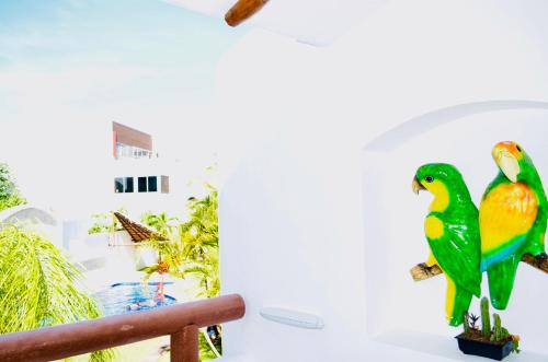 Deluxe Budget Balcony Room With Swimming Pool Air Conditioning and Parking Playa Del Carmen