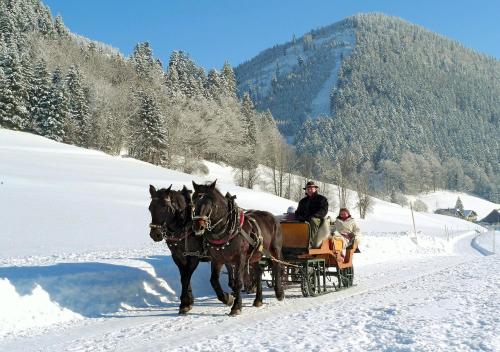  Am Ferienbauernhof Schmiedbauer com Salzkammergut in Faistenau
