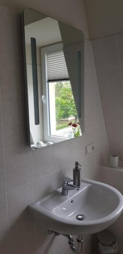 Ferienwohnung an der Elbfähre, Drážďany (fotografie 2)