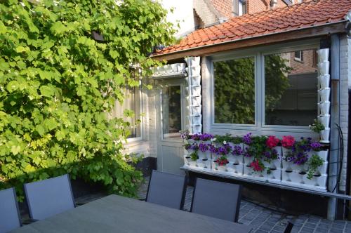 Birdsonghouse - image 4