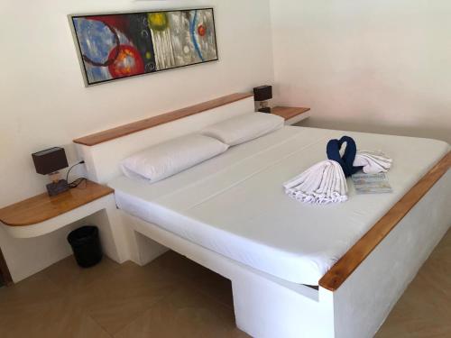 Parrot Resort Moalboal Room Type - Double Room