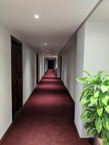 The Orchid Hotel – Ahmedabad, TN