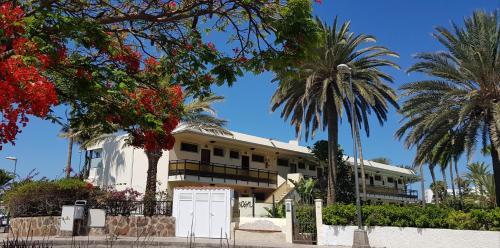 VIP Apartamentos Nogal- Adults Only - image 6