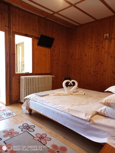 Casa Rodica str. Clabucetului 28 2