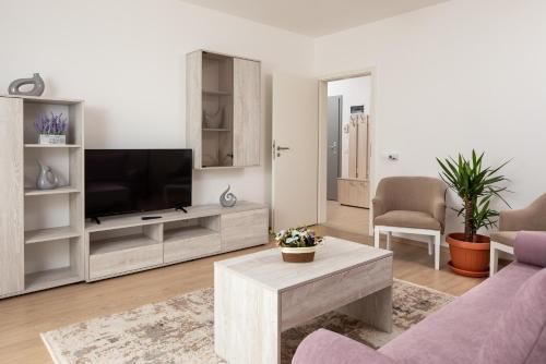 Brasov Holiday Apartments - image 2