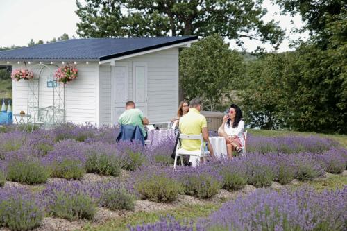 Lavender Village - image 2