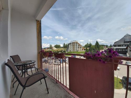 Apartment Zabljak Center - image 13