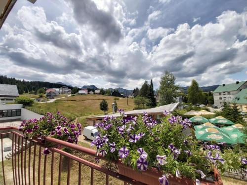 Apartment Zabljak Center - main image