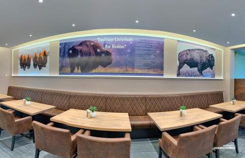 Hotel & Restaurant Am Bodden, Putbus (fotografie 8)